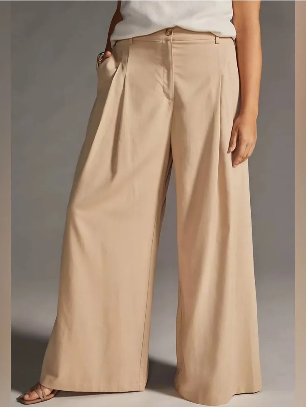 Anthropologie Wide-Leg Pleated Trousers in Sand